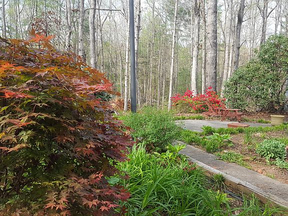 More Gardens in backyard