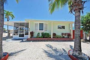 500 Oldsmar Front