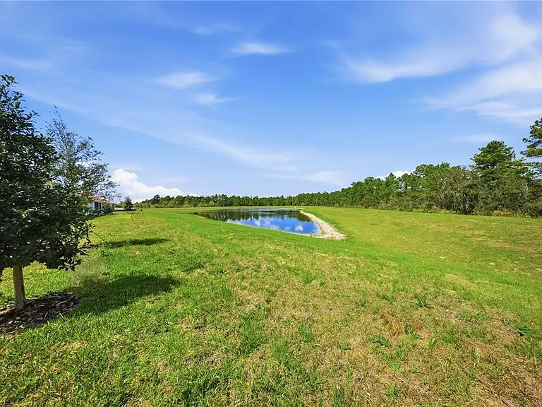 12893 Harvest Rain Ave — Photo 49