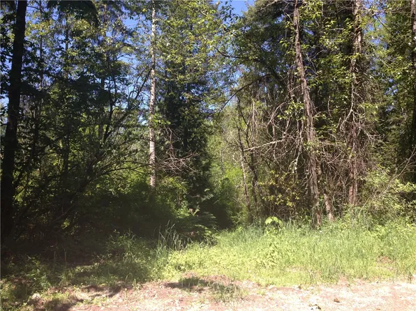 344TH St S, Roy, WA 98580