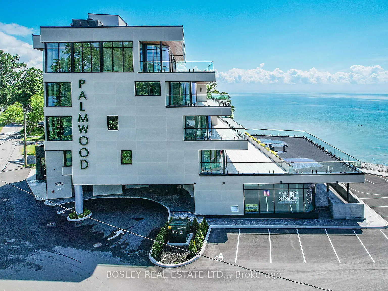 The Palmwood — Photo 1