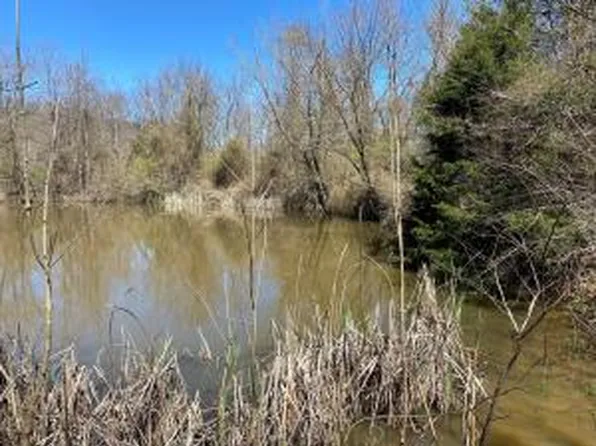 905 Cr, Green Forest, AR 72638