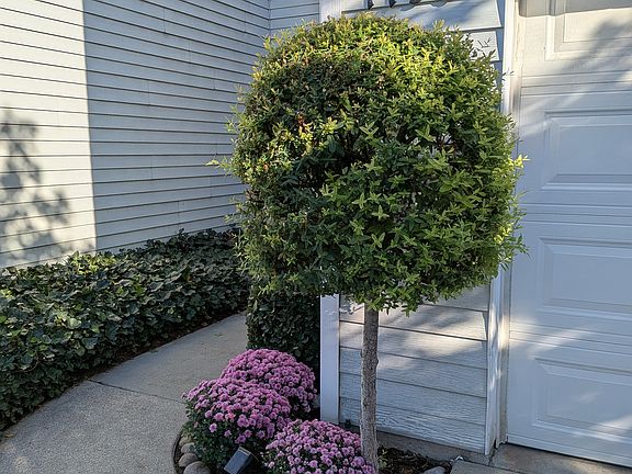 2nd image of 1190 Regent Ct