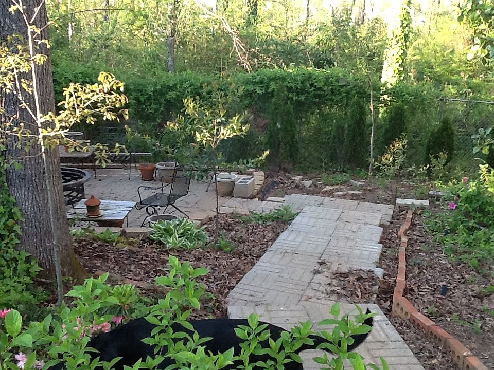 2nd image of 101 Arcadia Dr