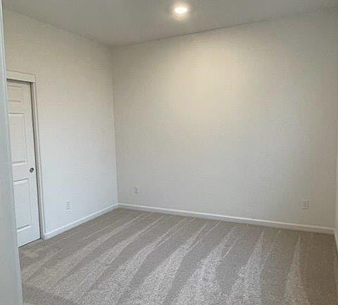 Bedroom 1 (downstairs)