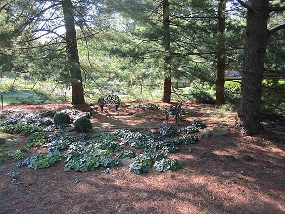 2nd image of 2727 E Buttonwood Ln