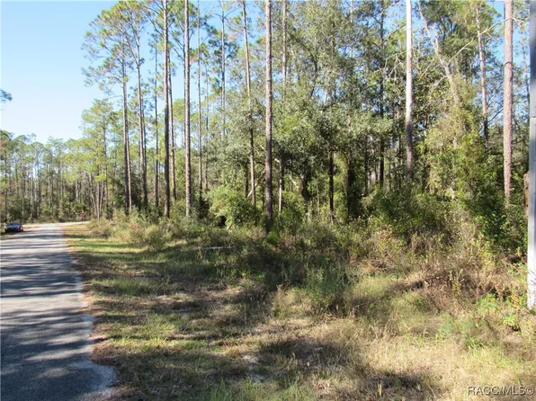 0 SW Nautilus Blvd, Dunnellon, FL 34431