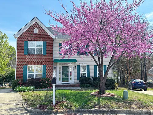 9201 Sayornis Ct Photo 1