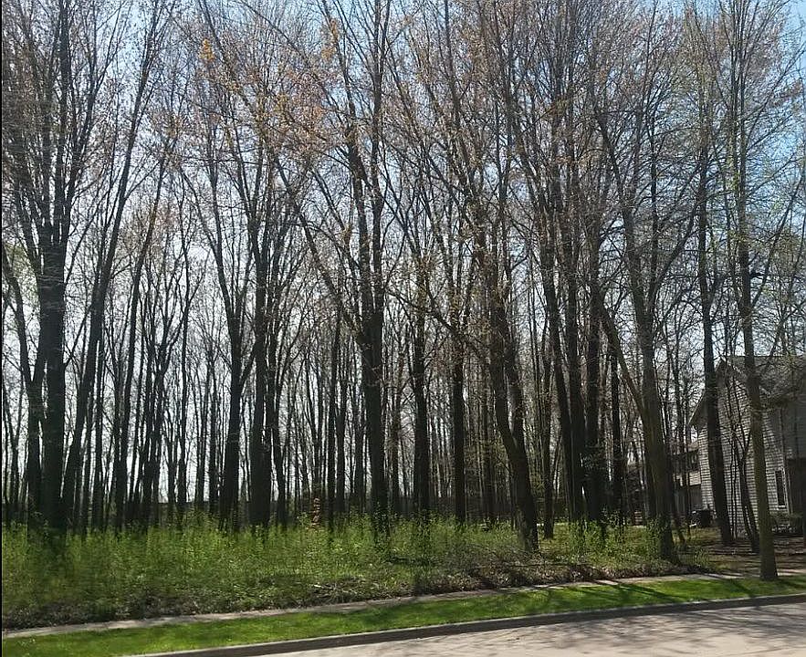 2nd image of 2460 Schaefer Cir