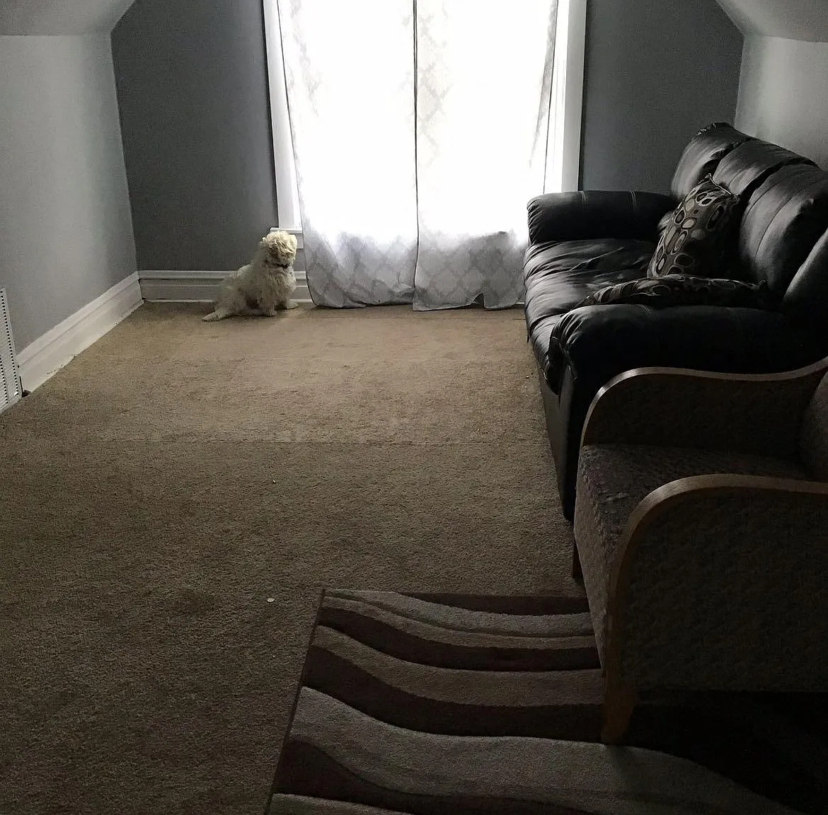 1 bed, 900 sqft, $1,250 — Photo 2
