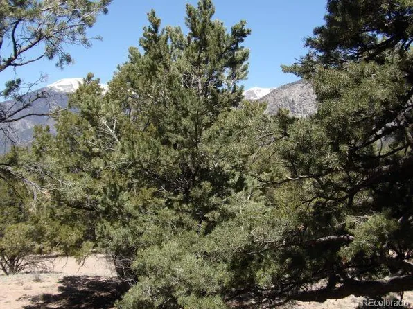 3678C Enchanted Way, Crestone, CO 81131