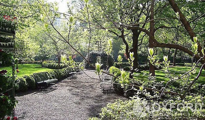 Rented by Oxford Property Group | media 12