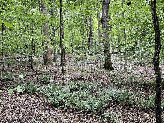 3rd image of 4240 Purnell Rd #Tr6