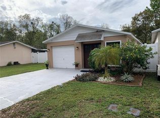 4831 Billy Direct Ln, Lutz, FL 33559