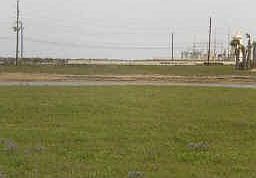 1st image of 4131 Great Blue Heron Dr