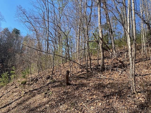 2nd image of LOT-1765R Red Bud Rd