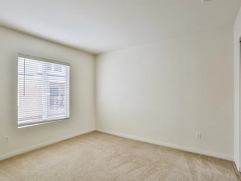 3542 Shoreline Bluff Ln — Photo 5