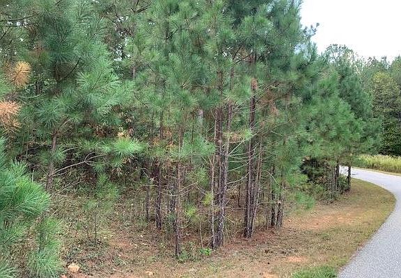 4th image of LOT56 Loftis Mountian