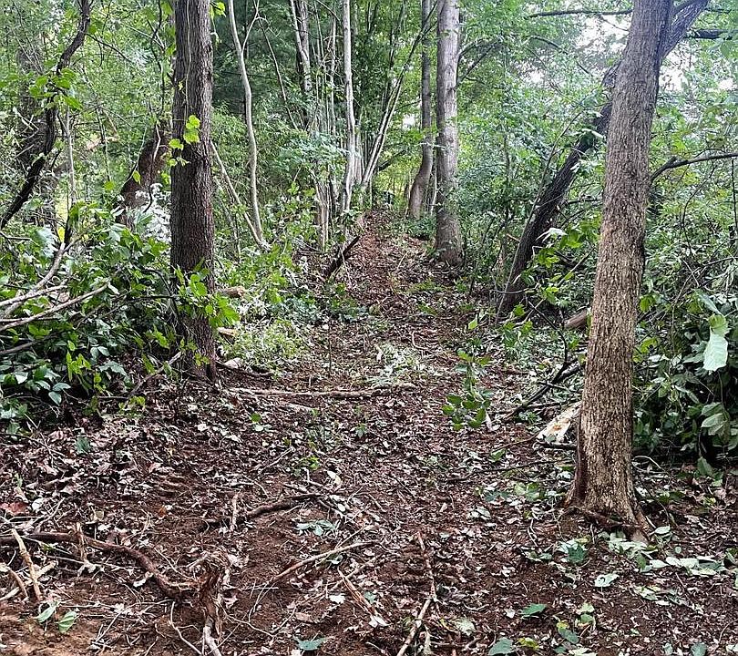 1st image of Gooney Manor Loop
