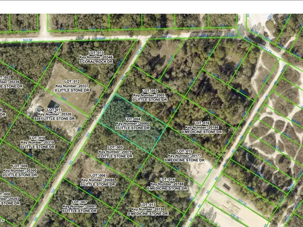 0 Little Stone Dr Lot 4, Webster, FL 33597