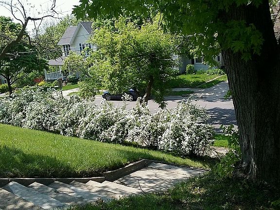 2nd image of 327 S Parker Dr