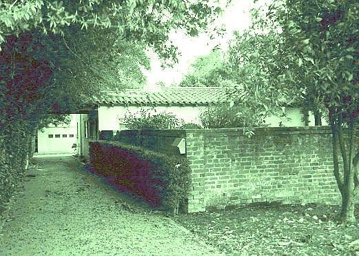 Driveway and Garage entrance