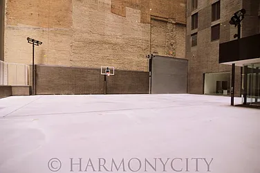 Sold by Harmonycity Corp.