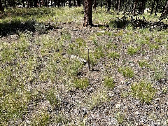5th image of 207 Monument Lane LOT 17