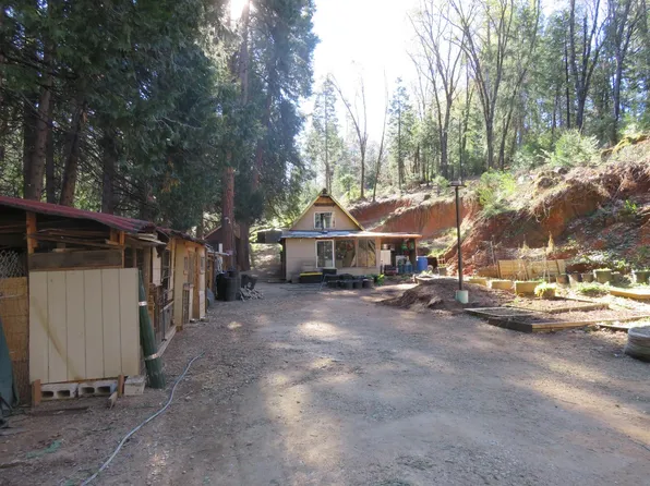 1360 Argonaut Ln, West Point, CA 95255