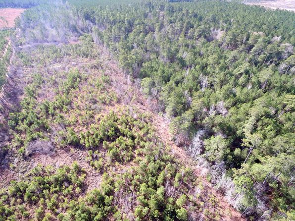 TBD Southwind Rd, Pamplico, SC 29583