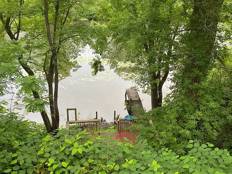 View off kitchen slider door deck