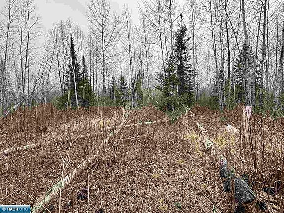 4th image of 10801 Town Line Forest Rd #69