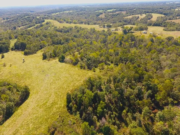 49 Acres Carlin Ridge Road, Rocky Comfort, MO 64861