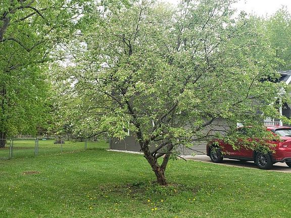 5th image of 2217 Brookdale Dr