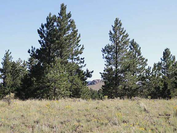 4th image of 1182 Music Mountain Dr