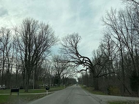 5th image of 8340 Adler Rd