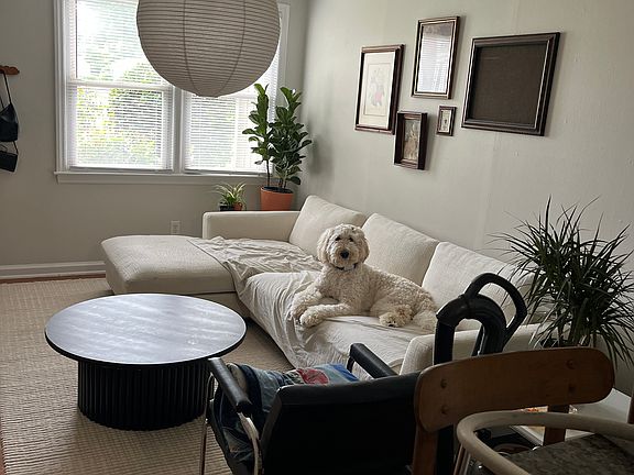 Living room. Adorable pup not included.