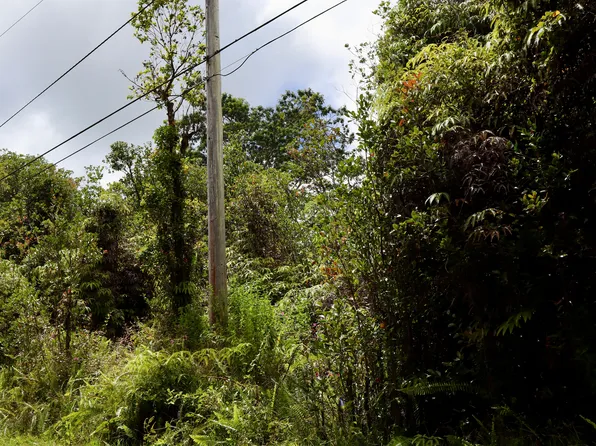 Mountain View Pl Lot 7, Mountain View, HI 96771