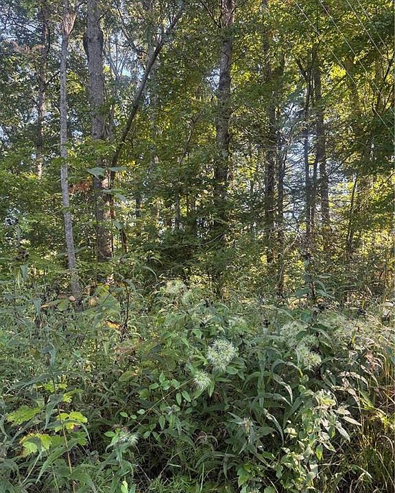 1st image of LOT 3 Roberts Ridge Rd
