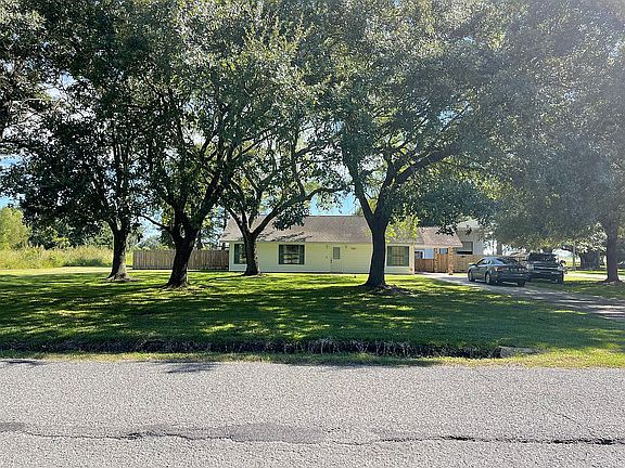 Mature oak and cypress trees