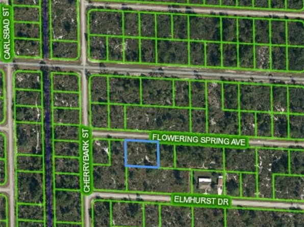 3420 Flowering Springs Ave, Lake Placid, FL 33852