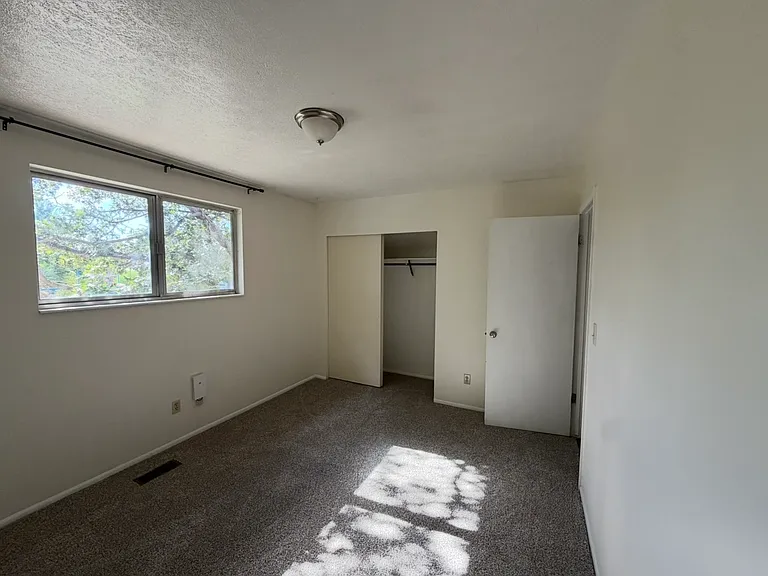 10680 S Carrington St — Photo 14
