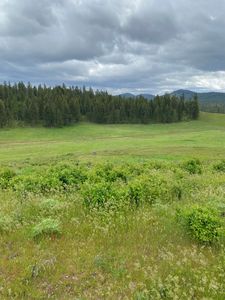 3737 E Jump Off Joe Rd #D, Valley, WA, 99181