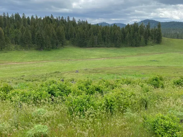 3737 E Jump Off Joe Rd #D, Valley, WA 99181