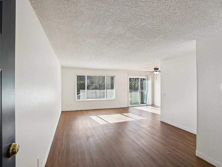 Colony Park — Photo 1