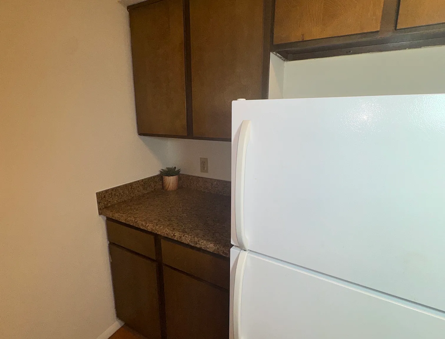 1 bed, 675 sqft, $750 — Photo 2
