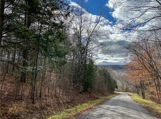 Trapping Brook Rd, Wellsville, NY 14895