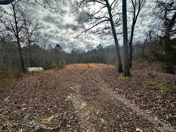 1920 Lake Forest Dr, Park Hills, MO 63601