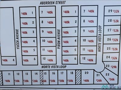 LOT 10b 11 Norte Vista Loop, Hagerman, NM, 88232