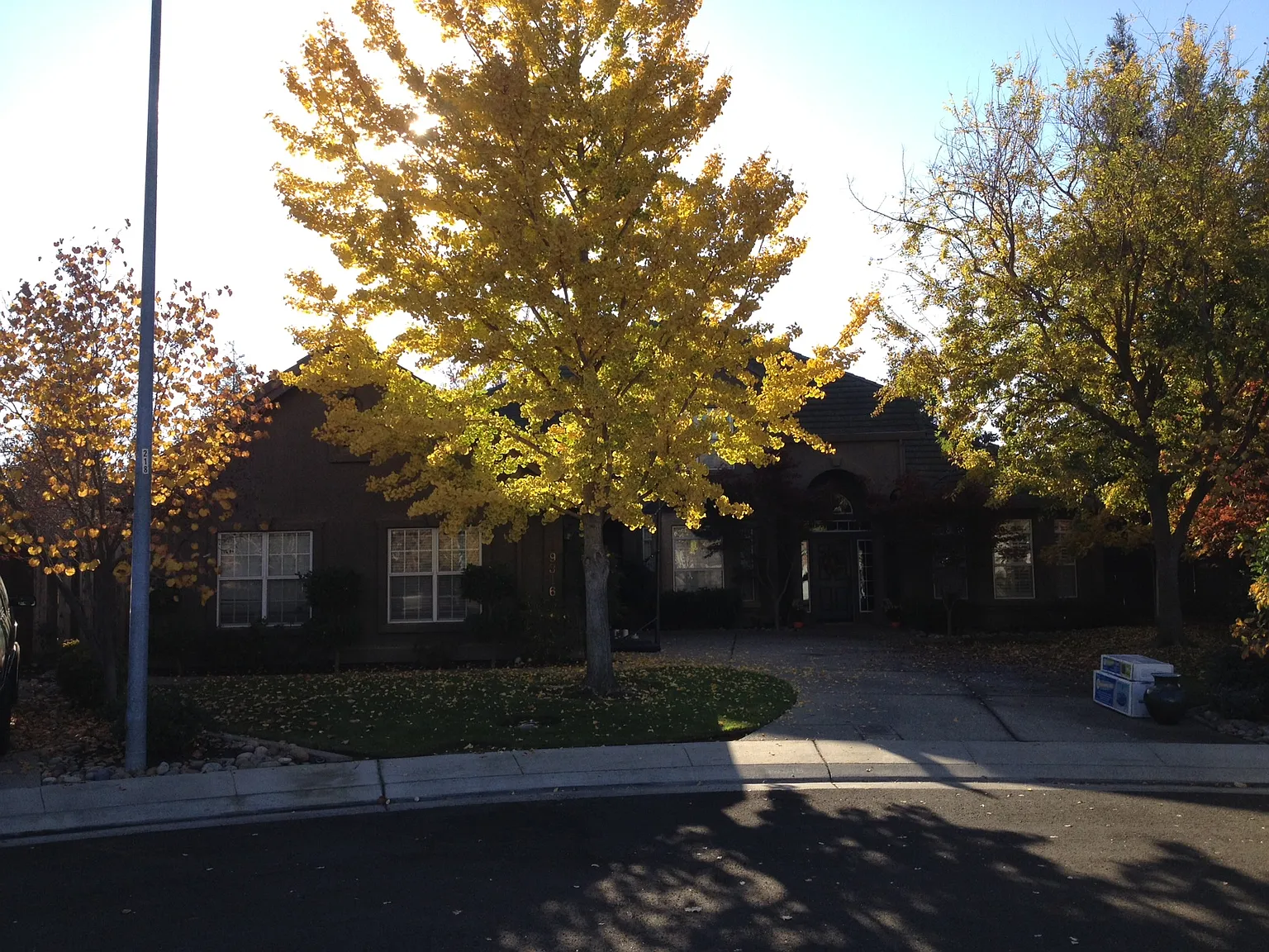19316 N Page Ct photo 1